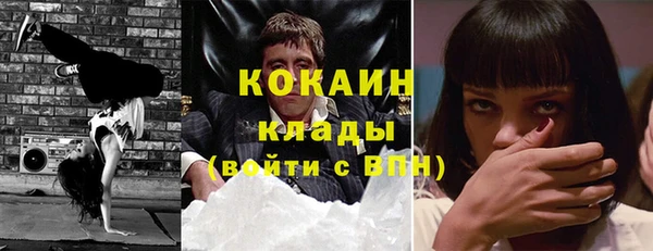 ГАЛЛЮЦИНОГЕННЫЕ ГРИБЫ Галич